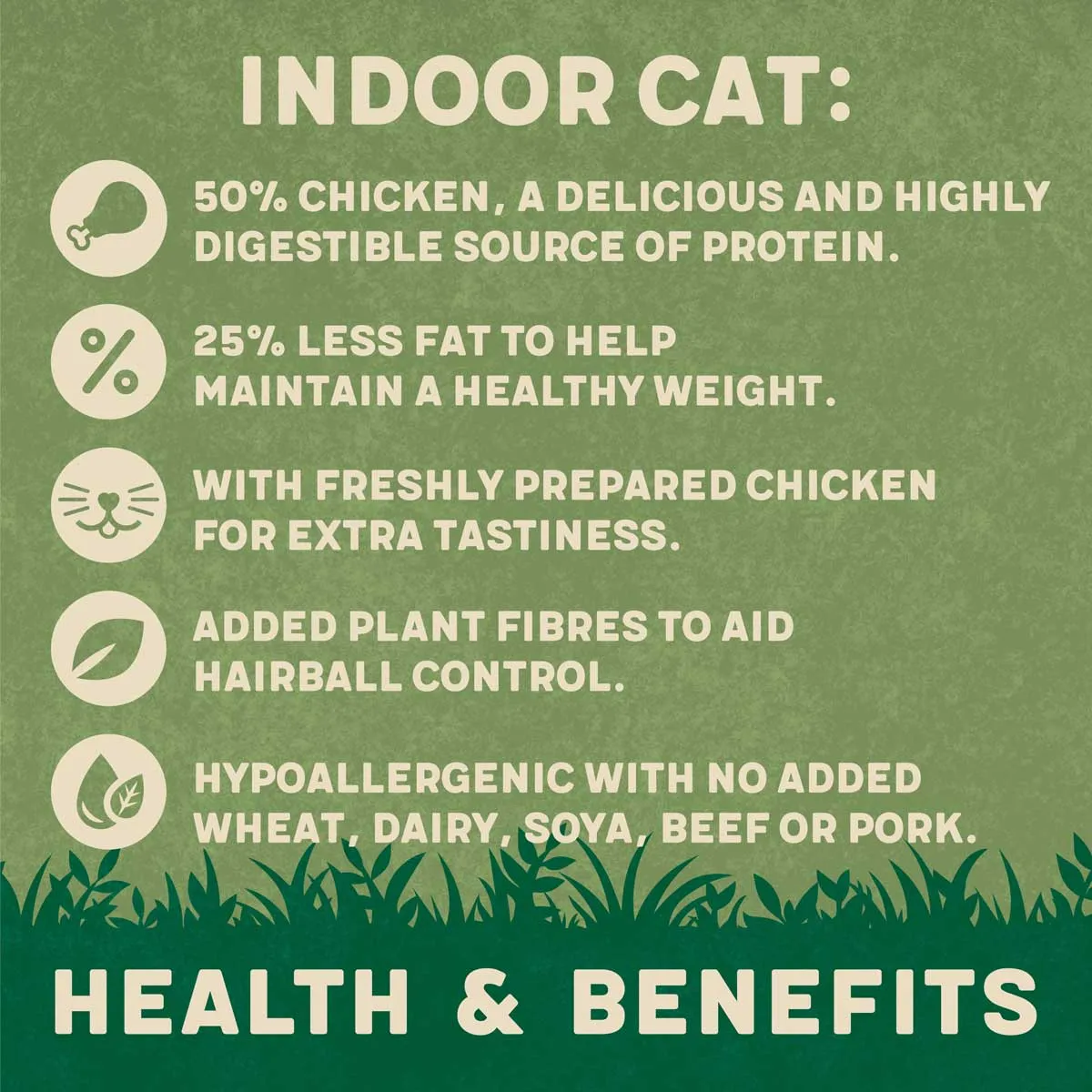 Complete Indoor Chicken Dry Cat Food 2kg