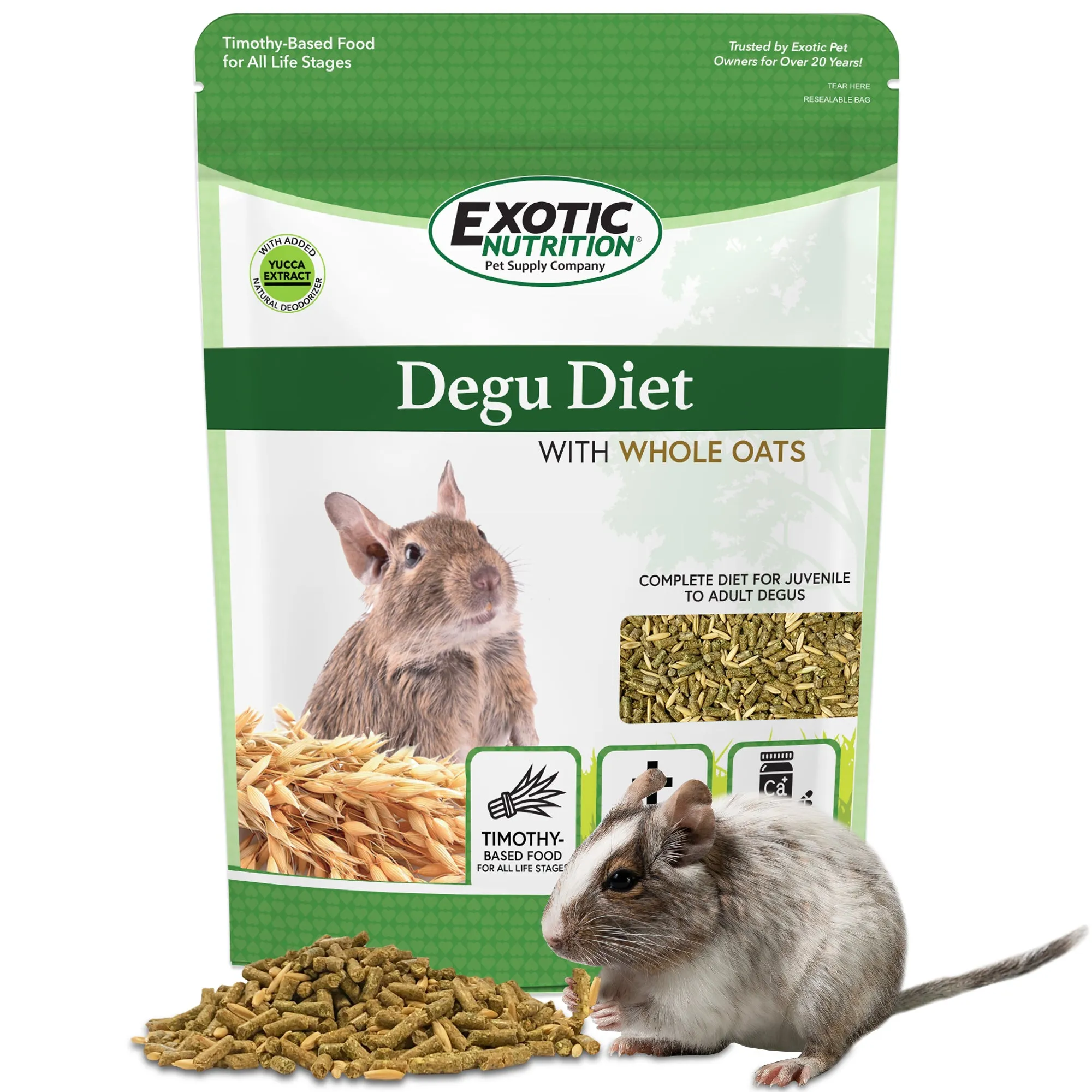 Degu Diet with Whole Oats Degu Food