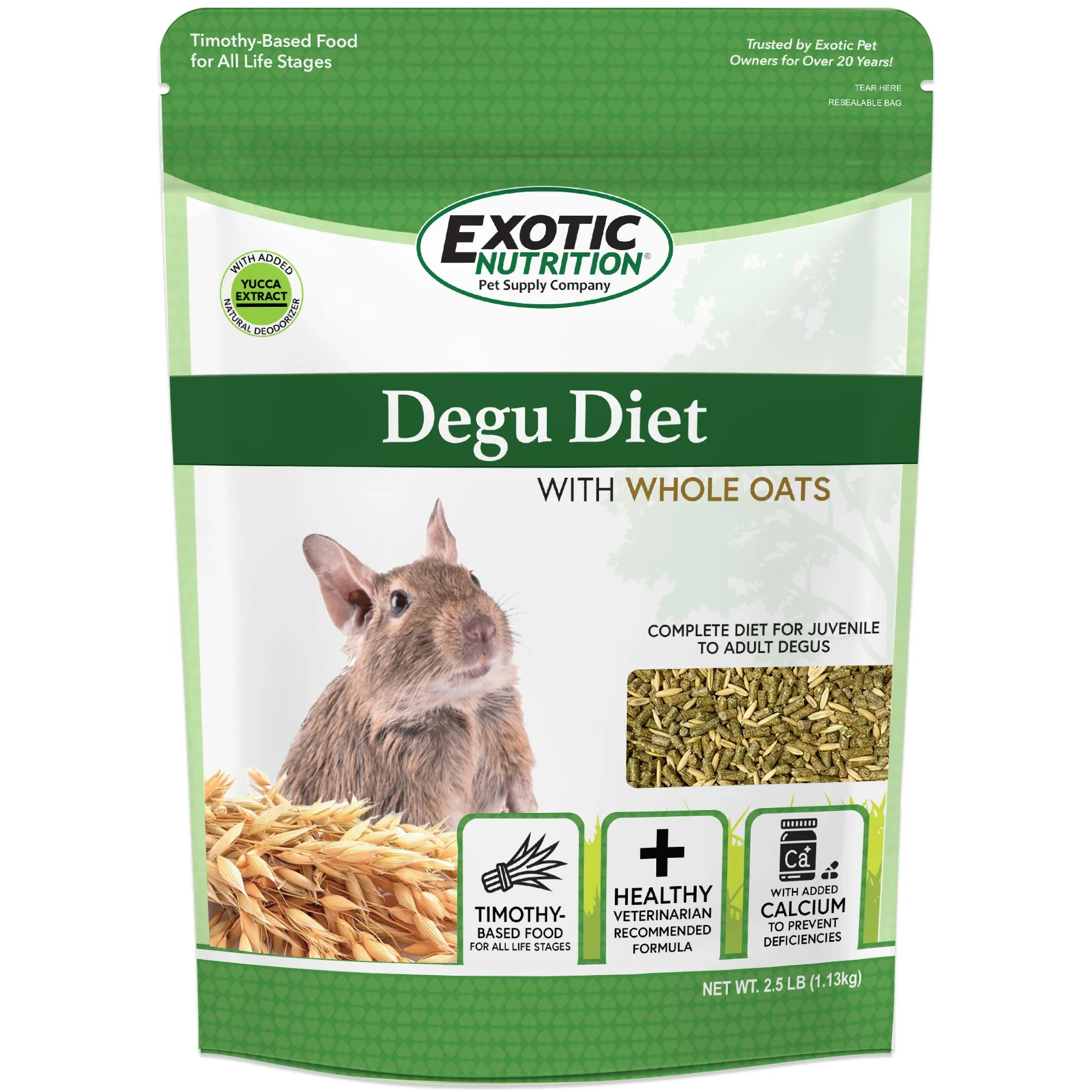 Degu Diet with Whole Oats Degu Food