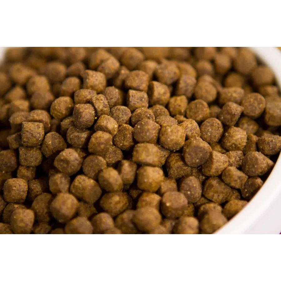 Dr. Gary's Best Breed Holistic Field & Stream Recipe Dry Dog Food