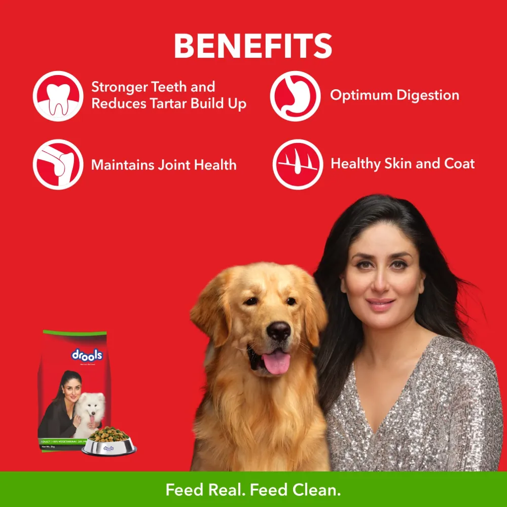 Drools 100% Vegetarian Adult Dog Dry Food