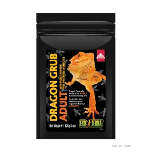 Adult Exo Terra Dragon Grub - High-Quality Reptile Food