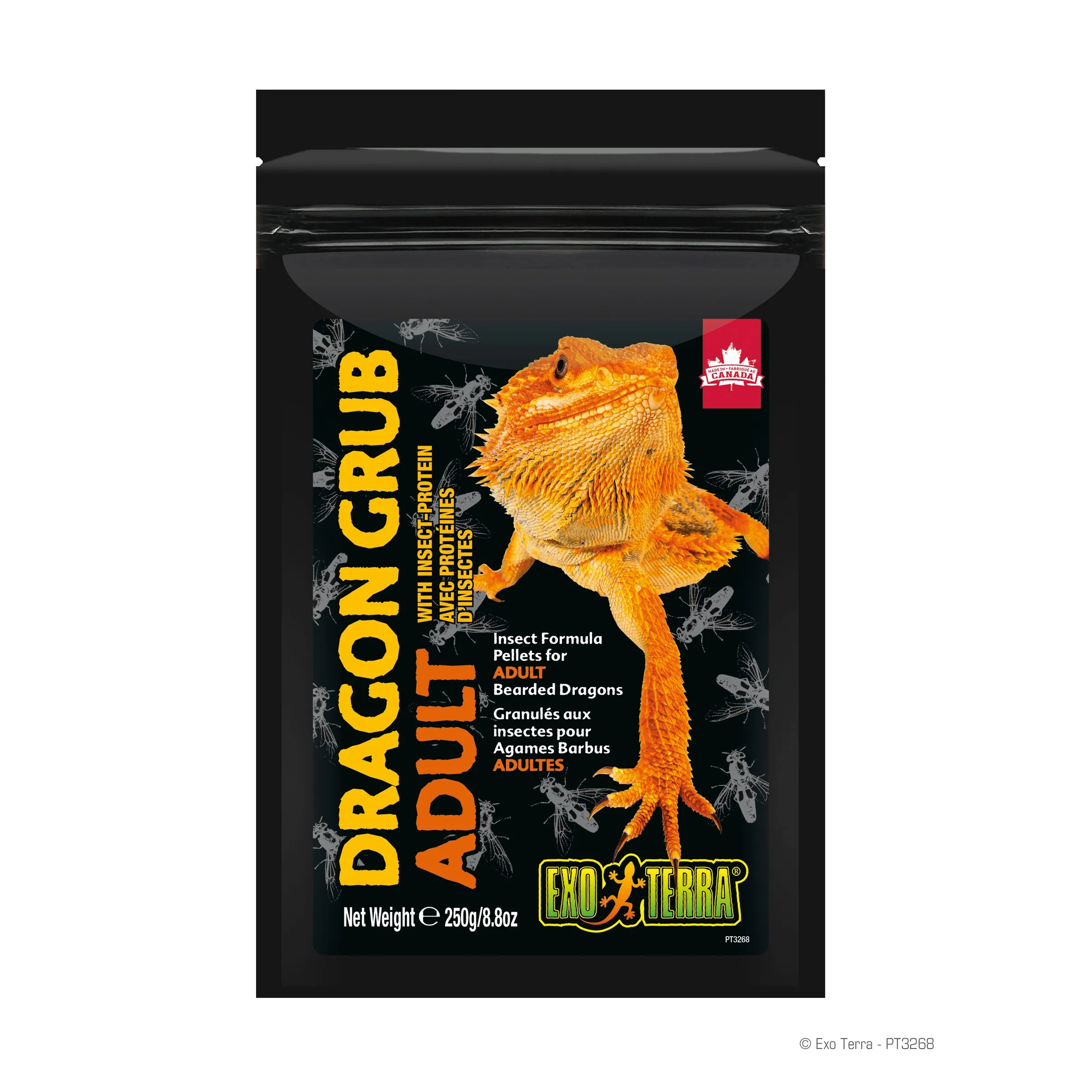 Adult Exo Terra Dragon Grub - High-Quality Reptile Food