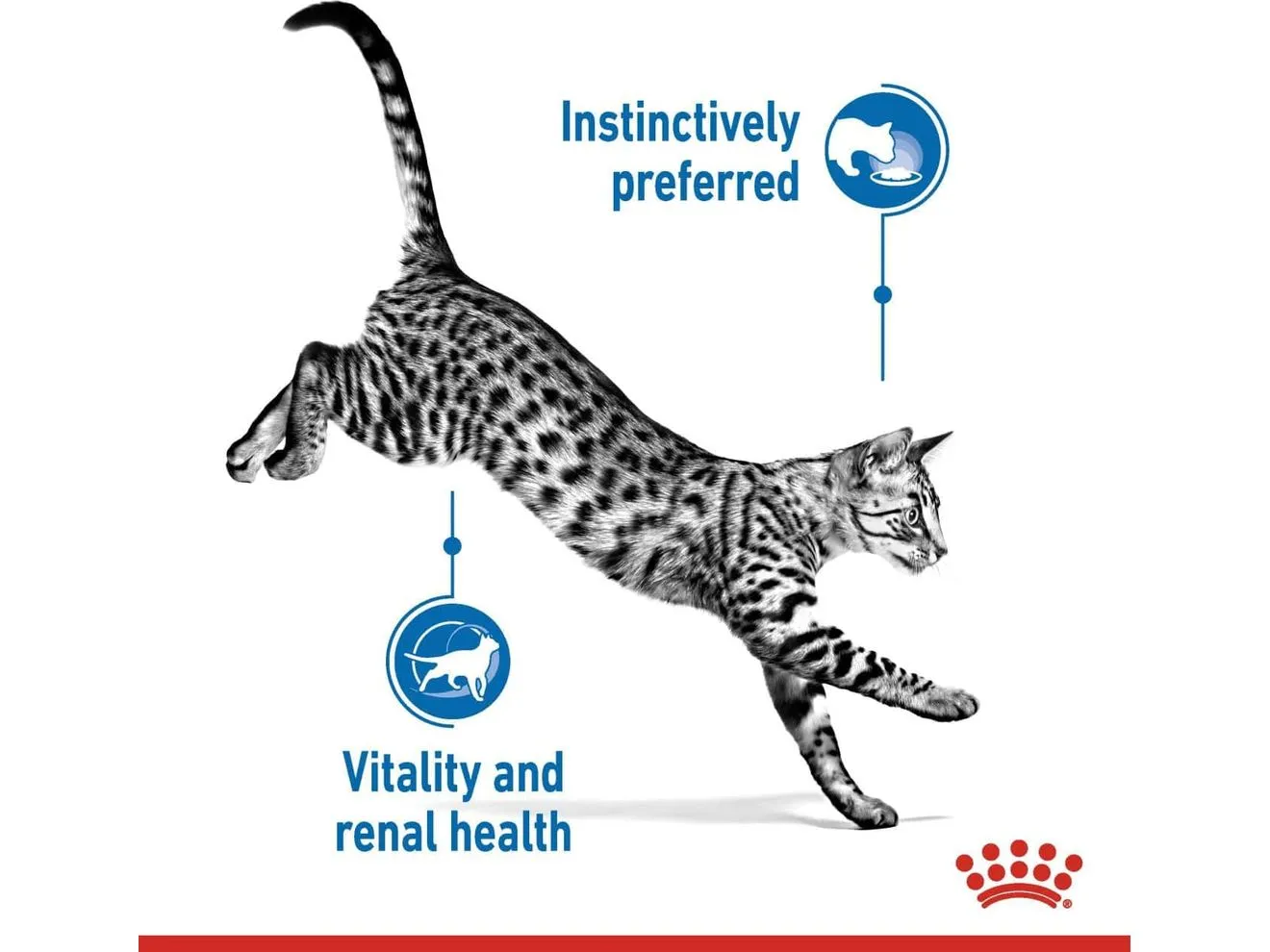 Feline Health Nutrition Indoor 7  12X85G(Wet Food - Pouches)