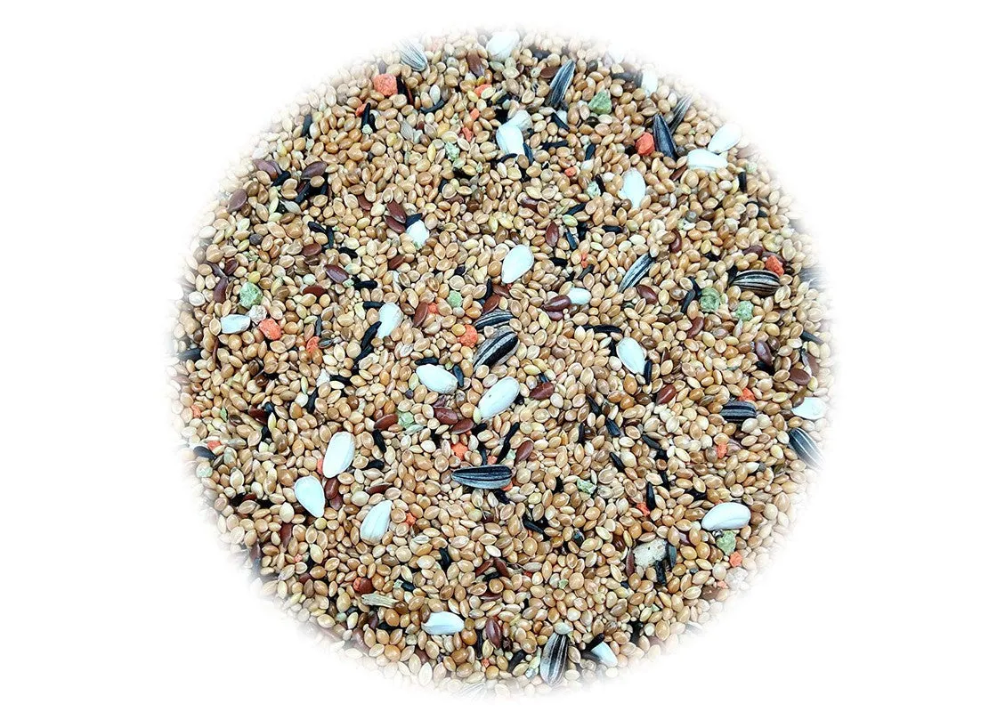 JiMMy Pet Products Panchee Pick Bird Food for Budgies (1200gm)