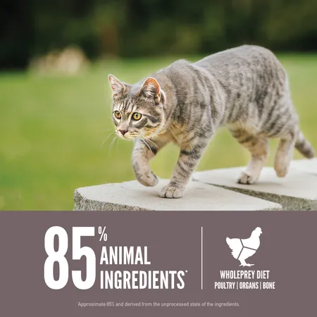 ORIJEN Fit & Trim™ Dry Cat Food