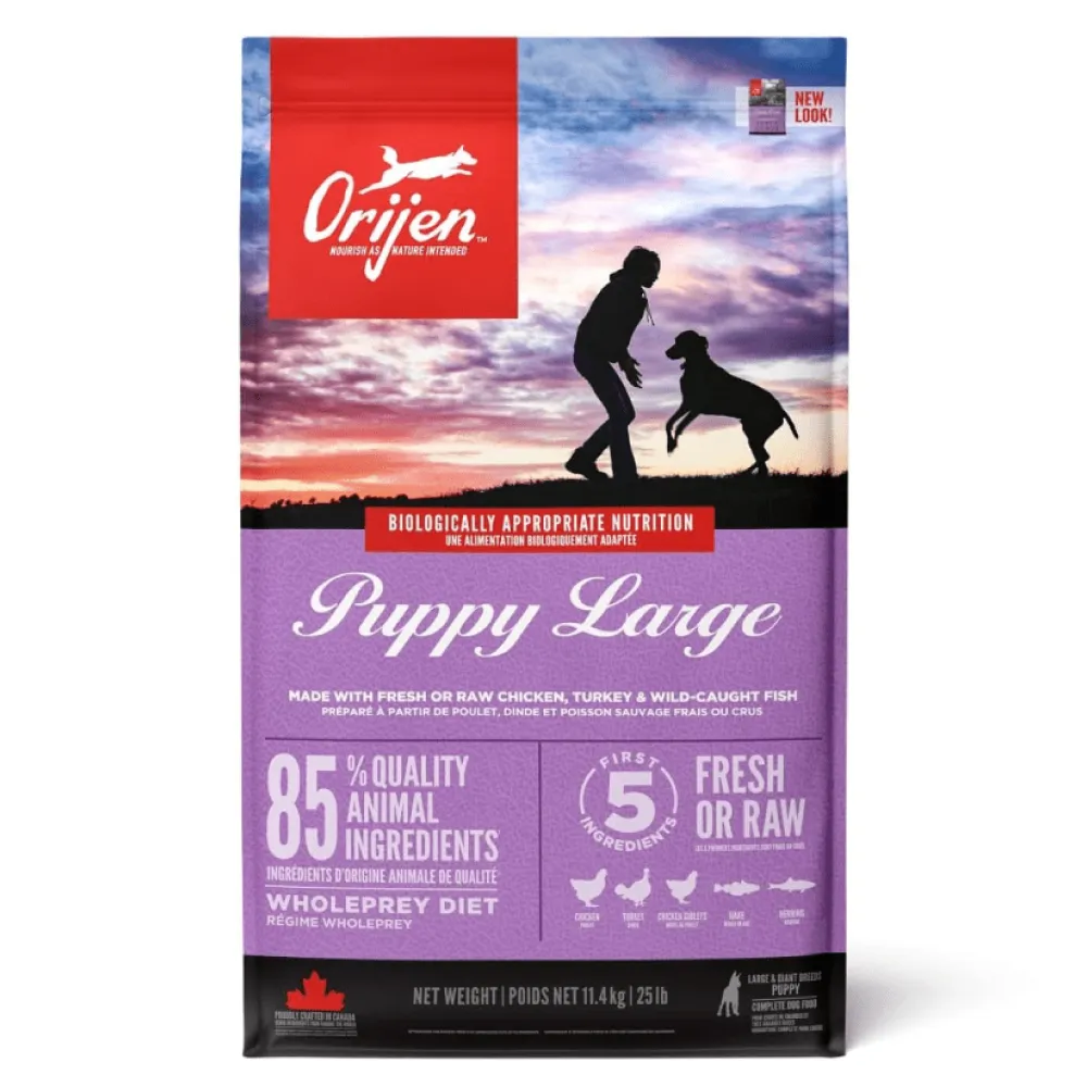 Orijen Large Puppy Dry Food