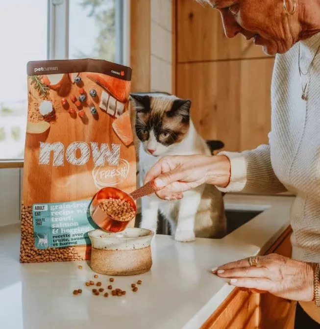 PETCUREAN Now Fresh - Grain-Free Trout, Salmon   Herring For Cats