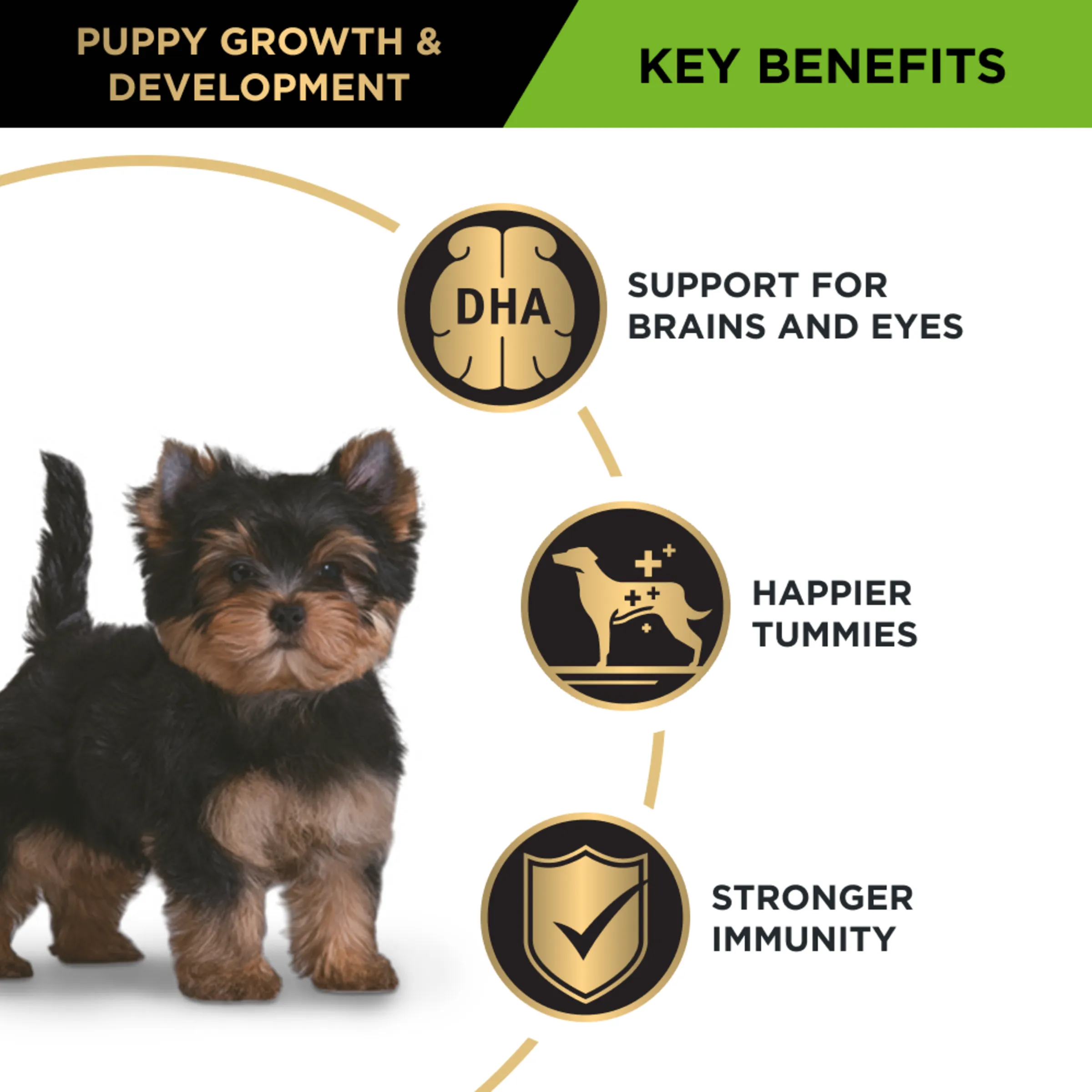 Pro Plan Puppy Healthy Growth Chicken Small & Toy Breed Dry Dog Food