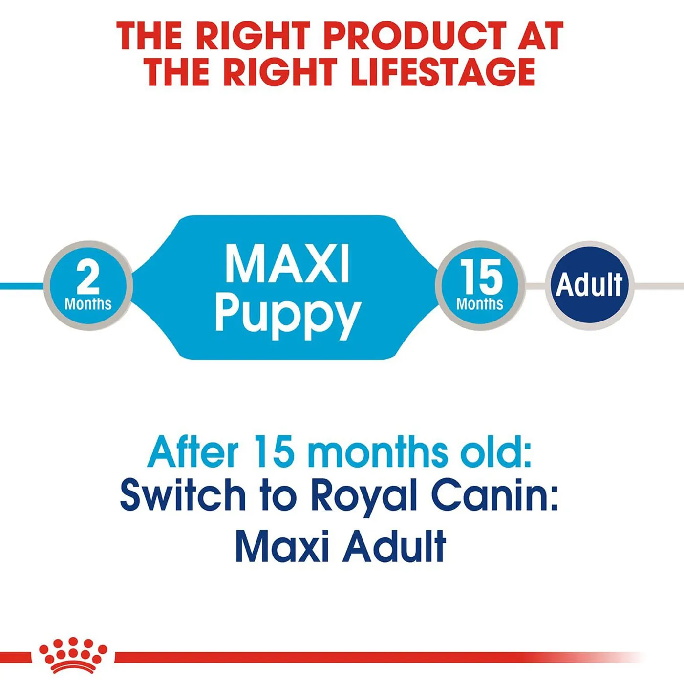 Royal Canin Puppy Maxi Breed Wet Dog Food (Case of 10)