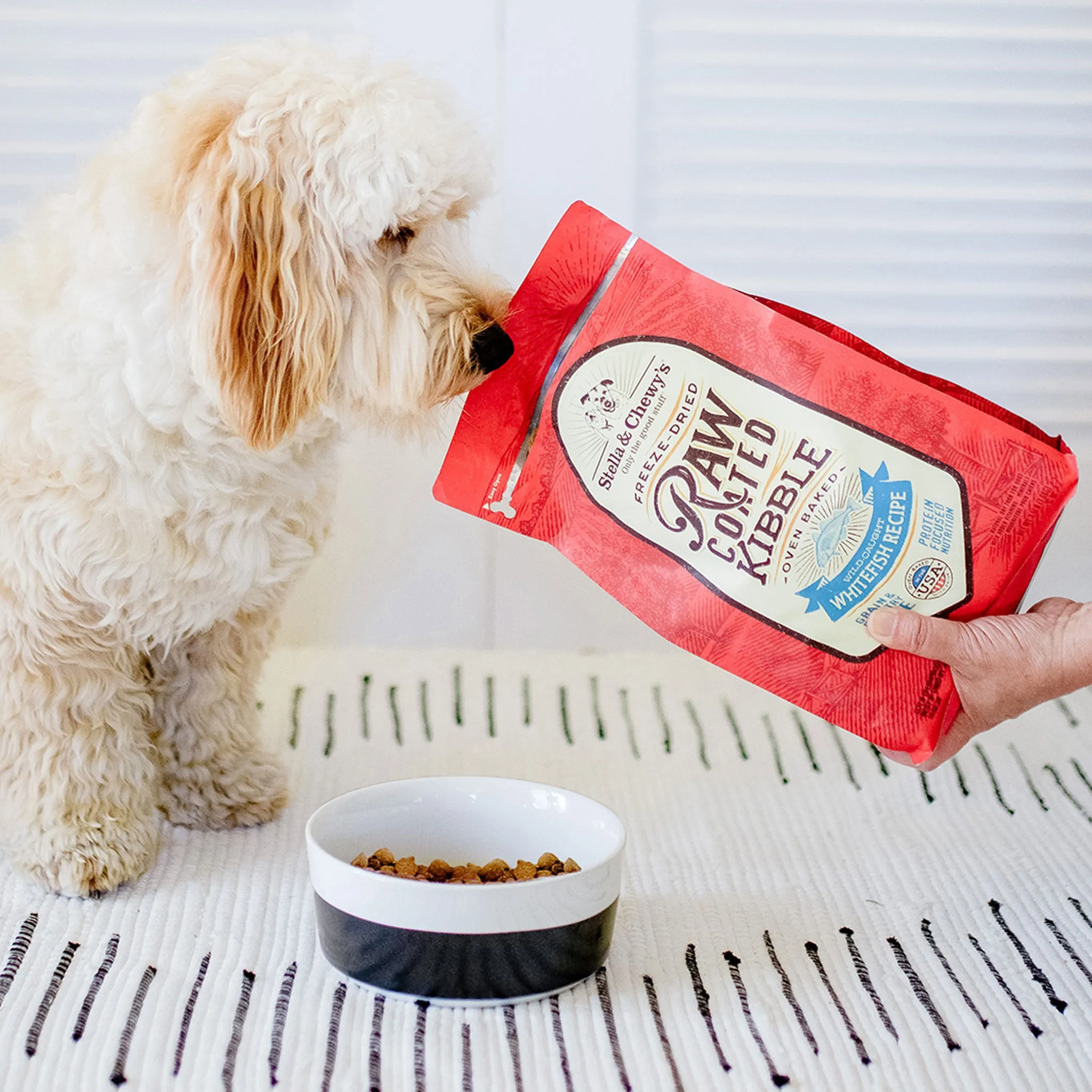 Stella & Chewy's Raw Coated Wild-Caught Whitefish Dog Kibble