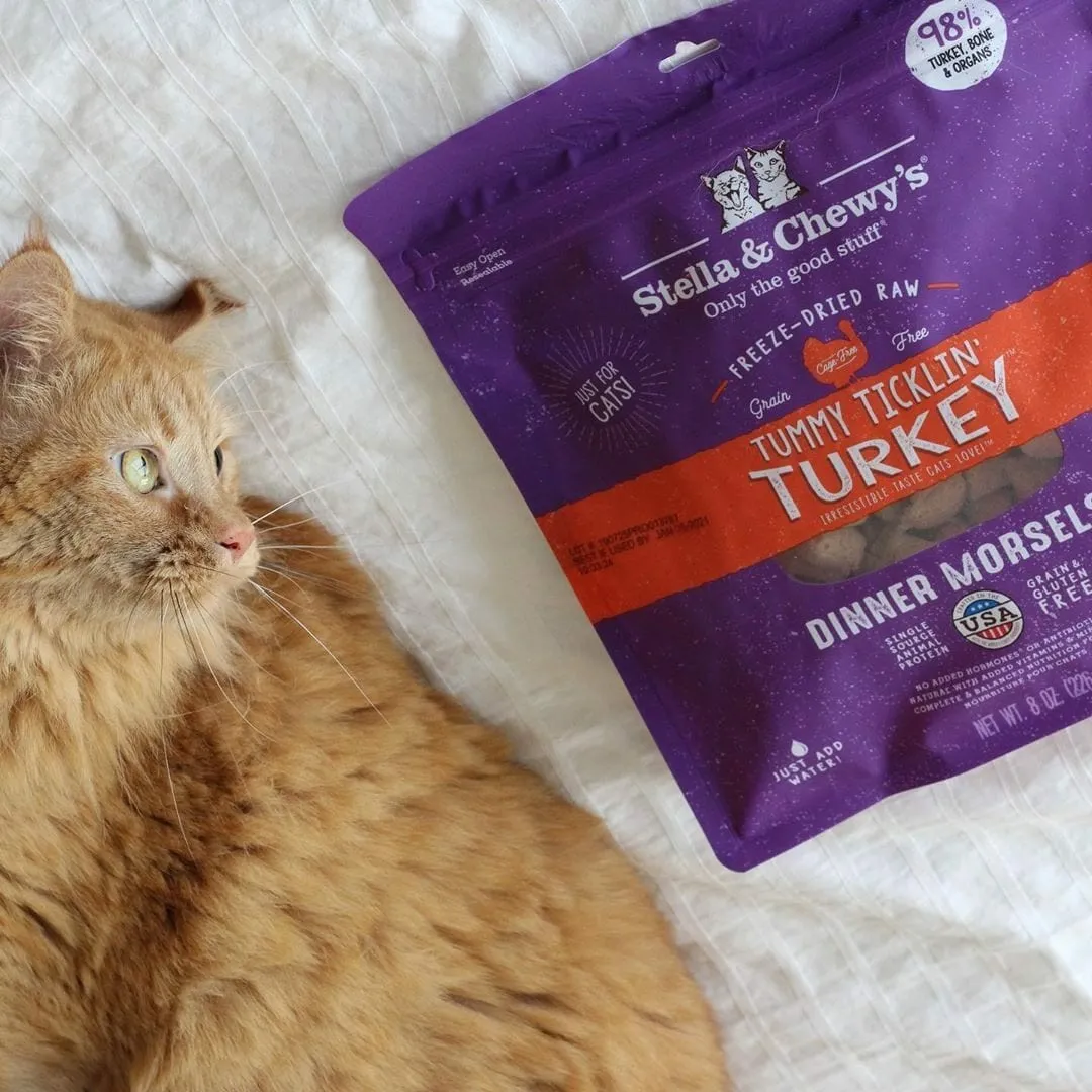 Stella & Chewy's Tummy Ticklin' Turkey Dinner Freeze-Dried Cat Food