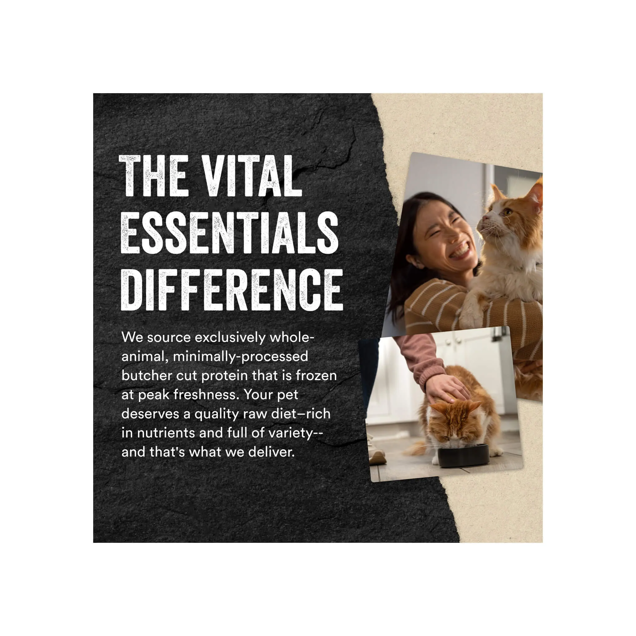 Vital Essentials Freeze Dried Mini Patties for Cats