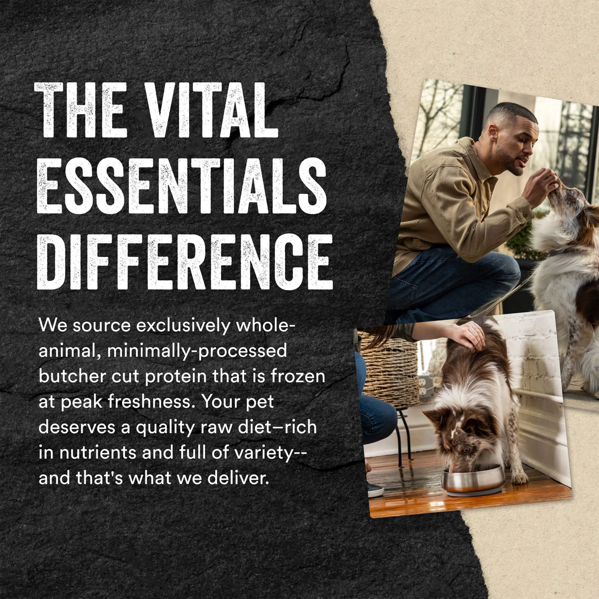 Vital Essentials Freeze Dried Mini Patties for Dogs