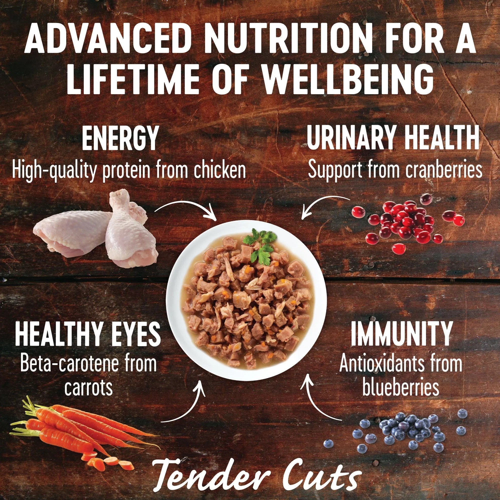 Wellness CORE Tender Cuts with Chicken and Salmon in Gravy Wet Cat Food 85g