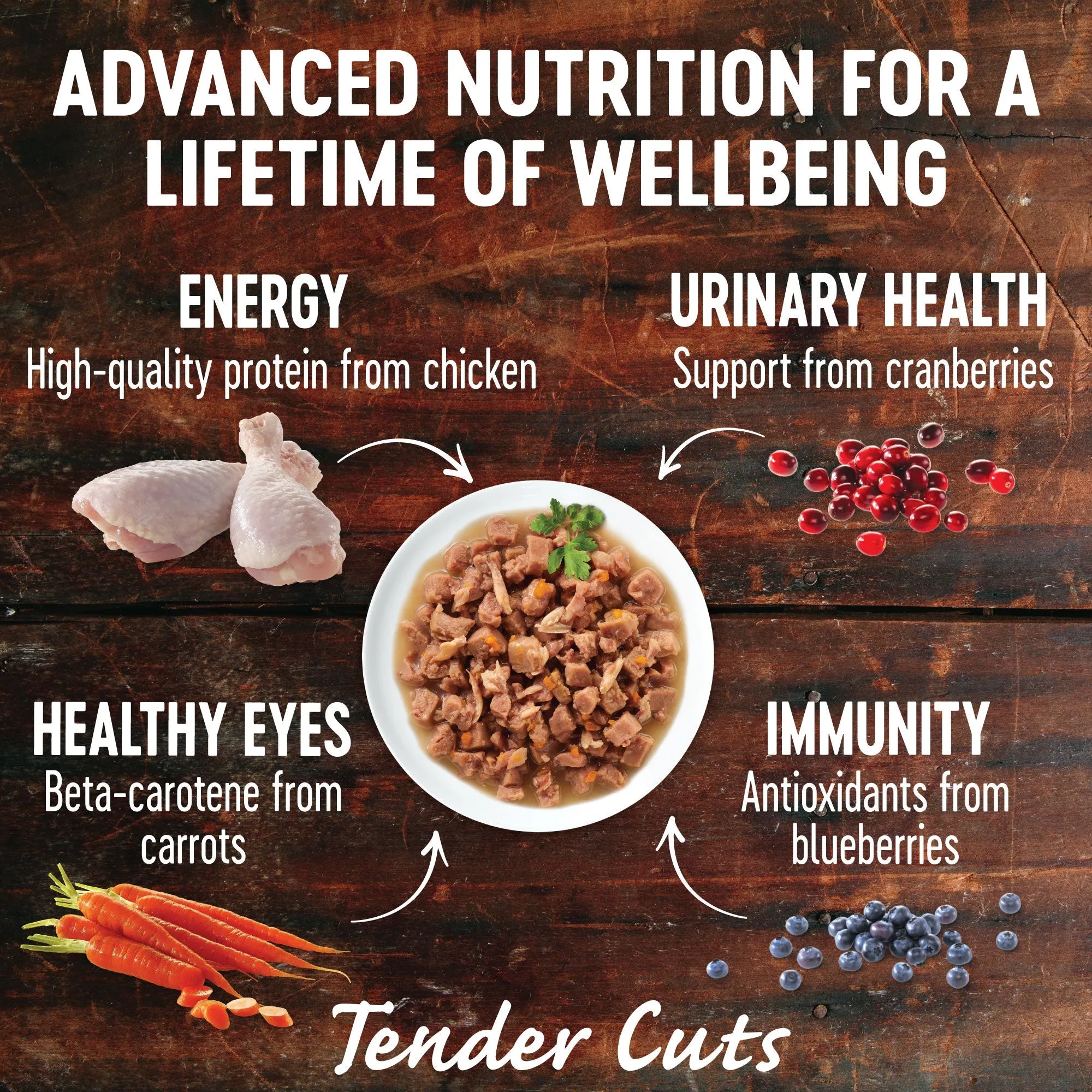 Wellness CORE Tender Cuts with Tuna in Gravy Wet Cat Food 85g x 8